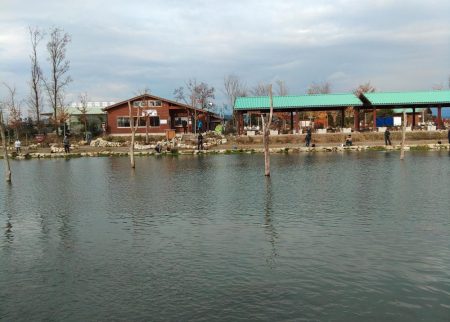 たまには数釣りを ～高島の泉～